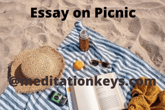 4 Samples of Essay on Picnic 2022