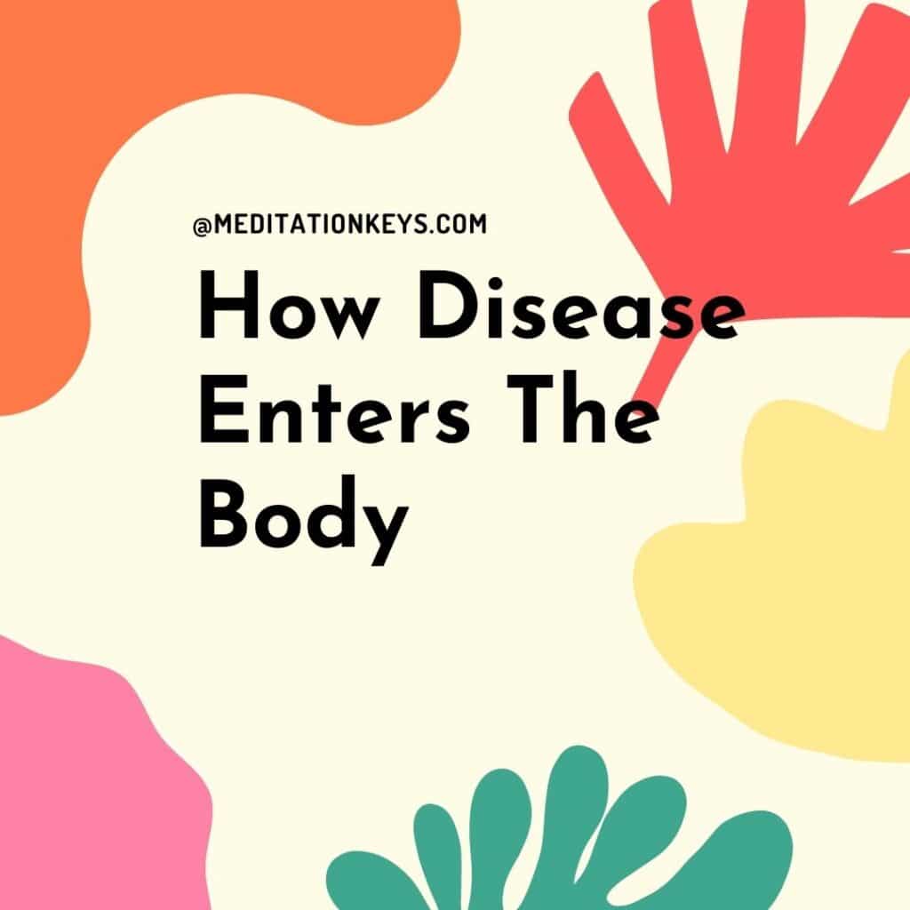 How Disease Enters The Body